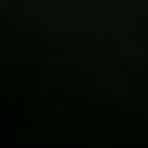 Meet your Posher, Roger